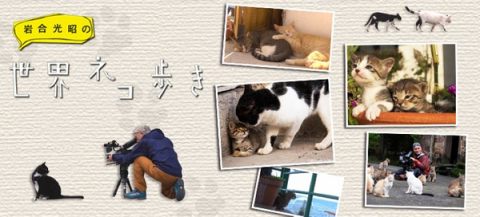 岩合光昭の猫步走世界~凯恩斯篇